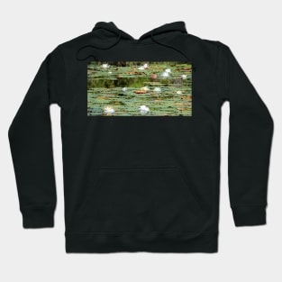 Waterlilies In The Morning Hoodie